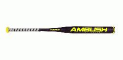 2017 <strong>Amb